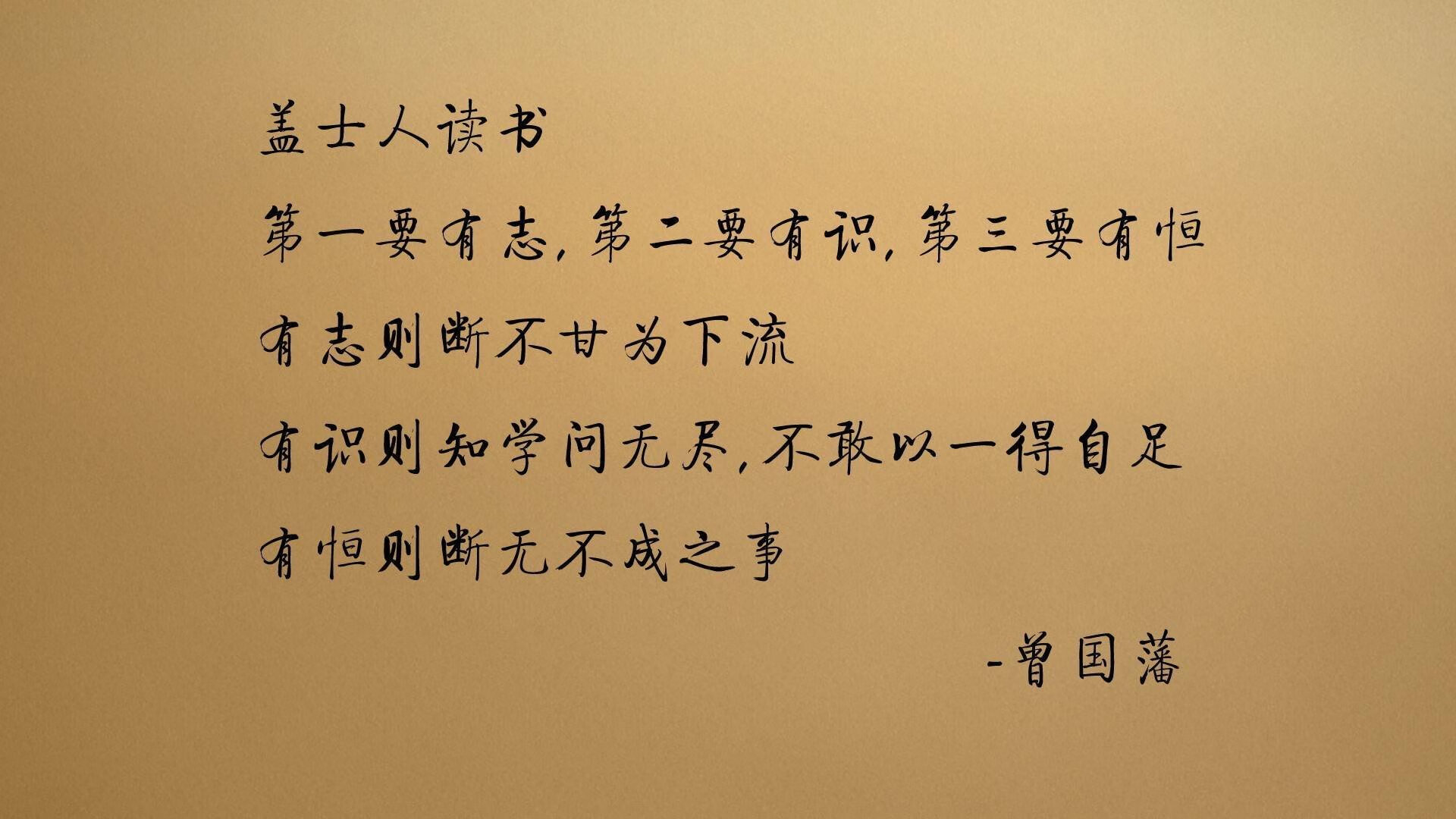 乌迪内斯-输给帕尔马，连续不胜，乌迪内斯主帅
