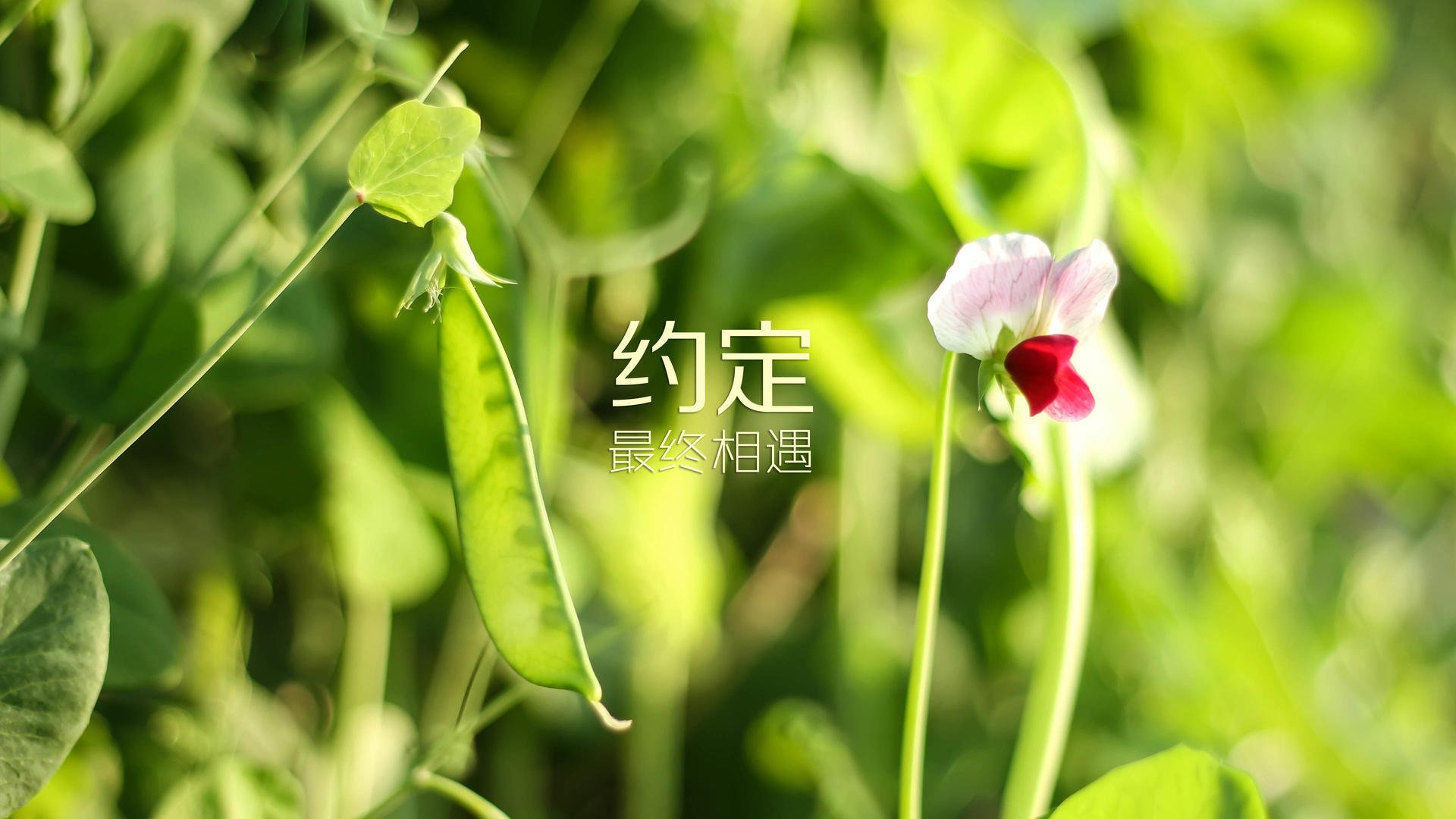 九游网页版官网-2024年国际乒联混合团体世界杯：德国队的逆袭时刻，国际乒联世界巡回赛 德国公开赛男单