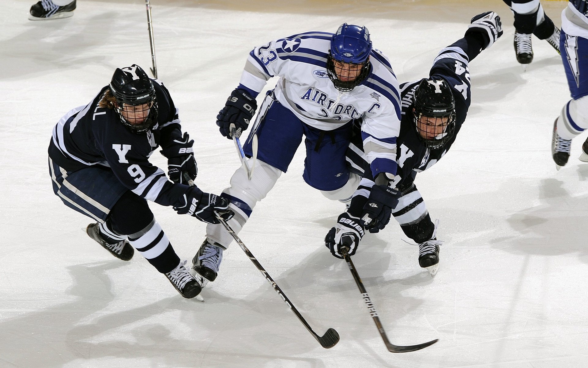 未来赛道：新建场地功能与设计亮点，赛车场规划设计